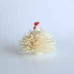 笹野一刀彫　花鳥／４号